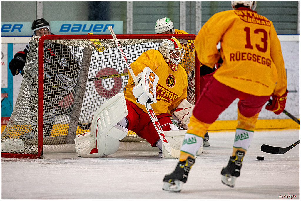 Koeln Cup 2019, Koelner Haie - SCL-Tigers Langnau 3-2, 15.08.2019